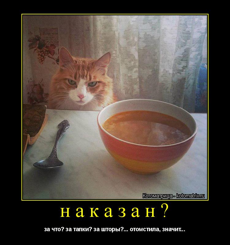 наказан? за что? за тапки? за шторы?... отомстила, значит...... Котоматрица: наказан? за что? за тапки? за шторы?... отомстила, значит...