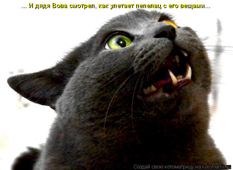 Котоматрица: ... И дядя Вова смотрел, как улетает пепелац с его вещами...