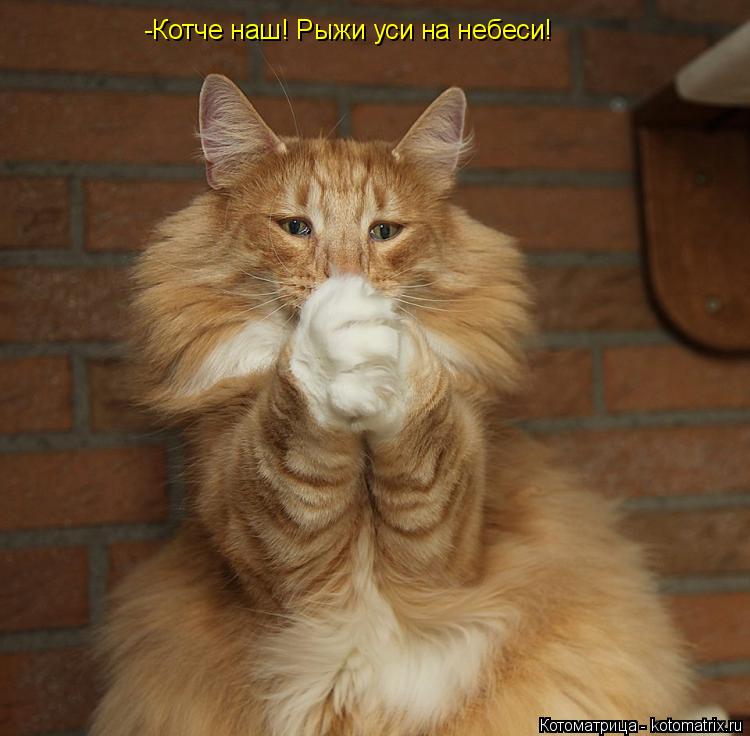 Котоматрица: -Котче наш! Рыжи уси на небеси!