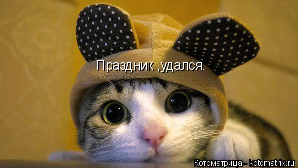 Котоматрица: Праздник ,удался.