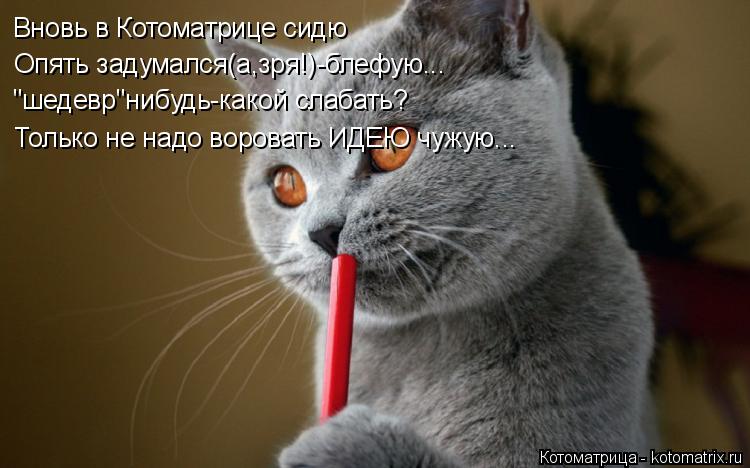 Котоматрица: Вновь в Котоматрице сидю Опять задумался(а,зря!)-блефую... "шедевр"нибудь-какой слабать? Только не надо воровать ИДЕЮ чужую...