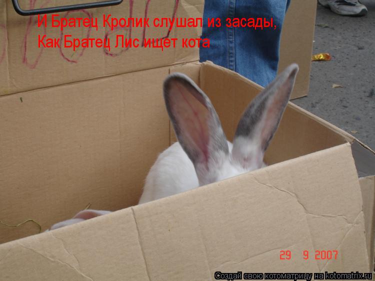 Котоматрица: И Братец Кролик слушал из засады, Как Братец Лис ищет кота
