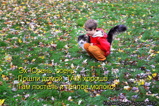 Эх !Осень ,осень Пошли домой. ТАМ хорошо. Там постель и тёплое молоко.... Котоматрица: Эх !Осень ,осень Пошли домой. ТАМ хорошо. Там постель и тёплое молоко.