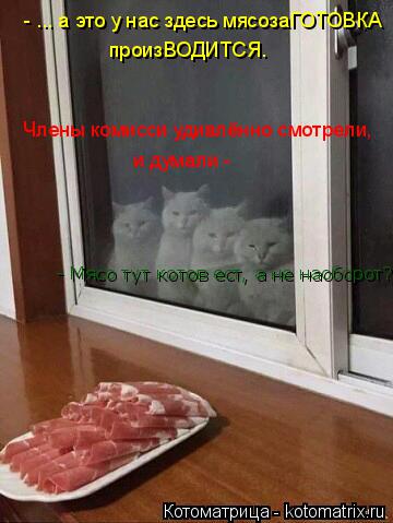 Котоматрица: - ... а это у нас здесь мясозаГОТОВКА произВОДИТСЯ.  Члены комисси удивлённо смотрели, и думали -   - Мясо тут котов ест, а не наоборот?!