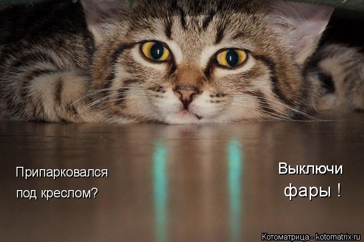 Припарковался под креслом? Выключи фары !... Котоматрица: Припарковался под креслом? Выключи фары !