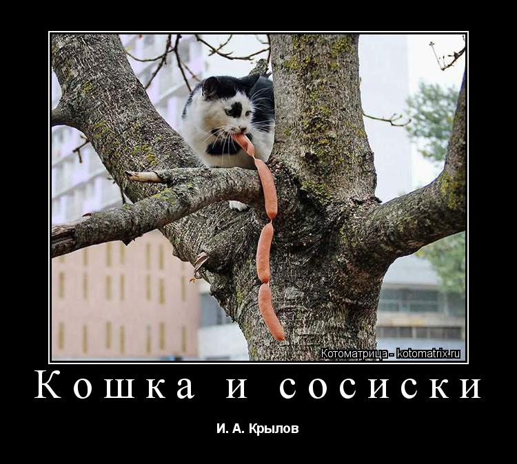 Кошка и сосиски И. А. Крылов... Котоматрица: Кошка и сосиски И. А. Крылов