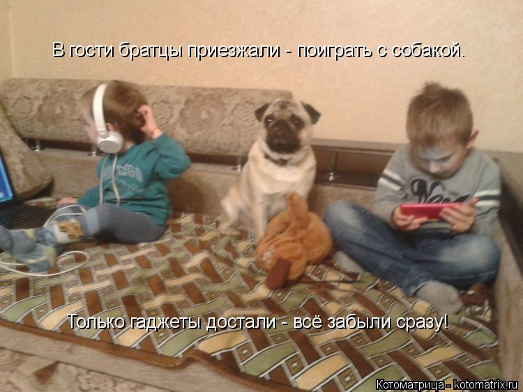 В гости братцы приезжали - поиграть с собакой. Только гаджеты достали - всё забыли сразу!... Котоматрица: В гости братцы приезжали - поиграть с собакой. Только гаджеты достали - всё забыли сразу!