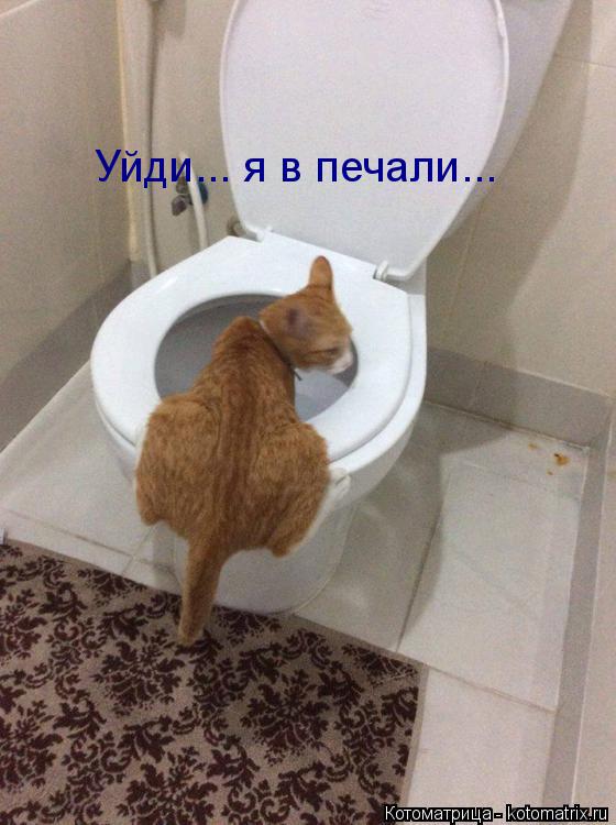 Уйди... я в печали...... Котоматрица: Уйди... я в печали...