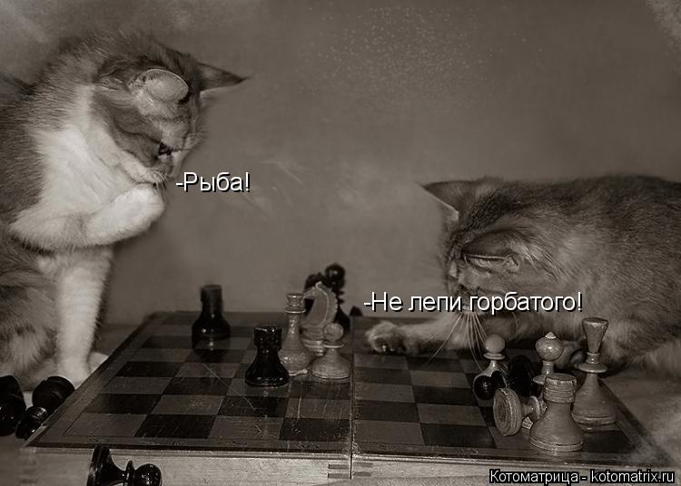 -Рыба! -Не лепи горбатого!... Котоматрица: -Рыба! -Не лепи горбатого!
