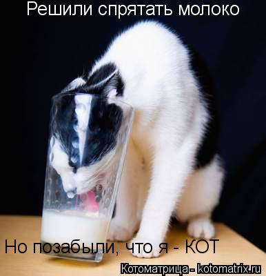 Решили спрятать молоко Но позабыли, что я - КОТ... Котоматрица: Решили спрятать молоко Но позабыли, что я - КОТ