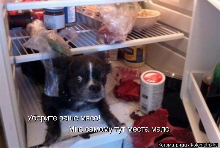 Уберите ваше мясо! Мне самому тут места мало... Котоматрица: Уберите ваше мясо! Мне самому тут места мало