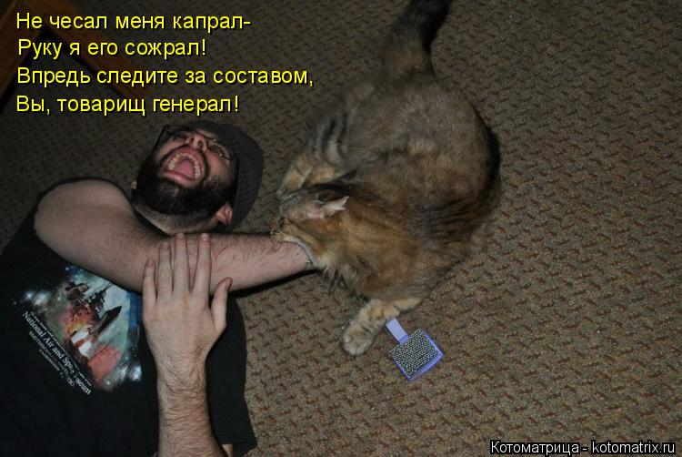 Котоматрица: Не чесал меня капрал- Руку я его сожрал! Впредь следите за составом, Вы, товарищ генерал!