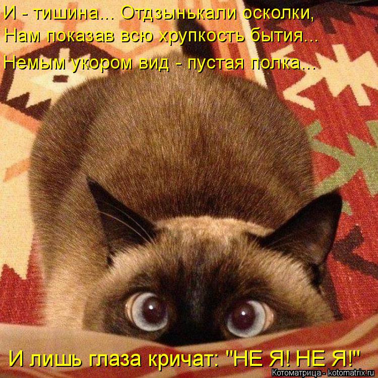 И - тишина... Отдзынькали осколки, Нам показав всю хрупкость бытия... Немым укором вид - пустая полка... Котоматрица: И - тишина... Отдзынькали осколки, Нам показав всю хрупкость бытия... Немым укором вид - пустая полка... И лишь глаза кричат: "НЕ Я! НЕ Я!"