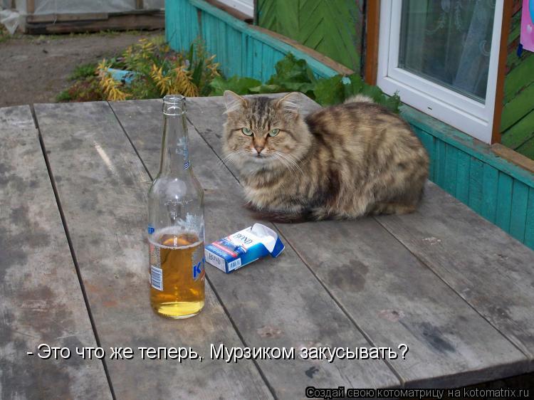 Котоматрица: - Это что же теперь, Мурзиком закусывать?