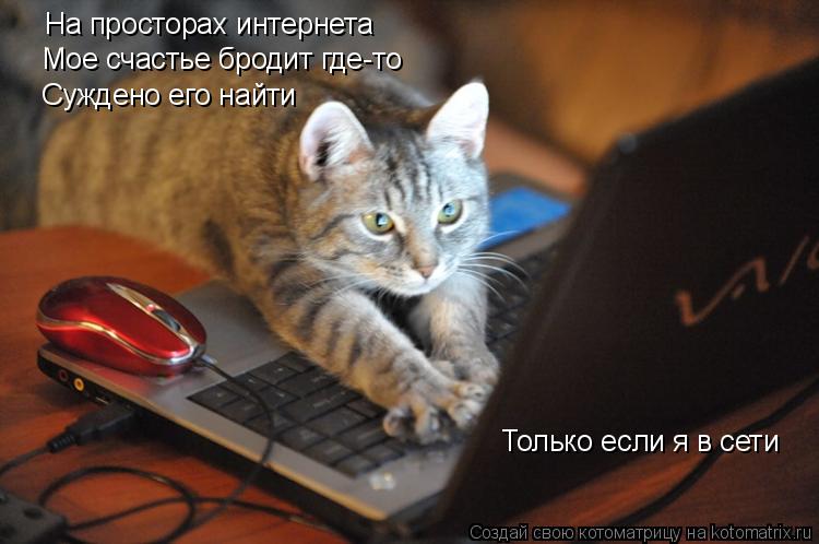 Котоматрица: На просторах интернета Мое счастье бродит где-то Суждено его найти Только если я в сети