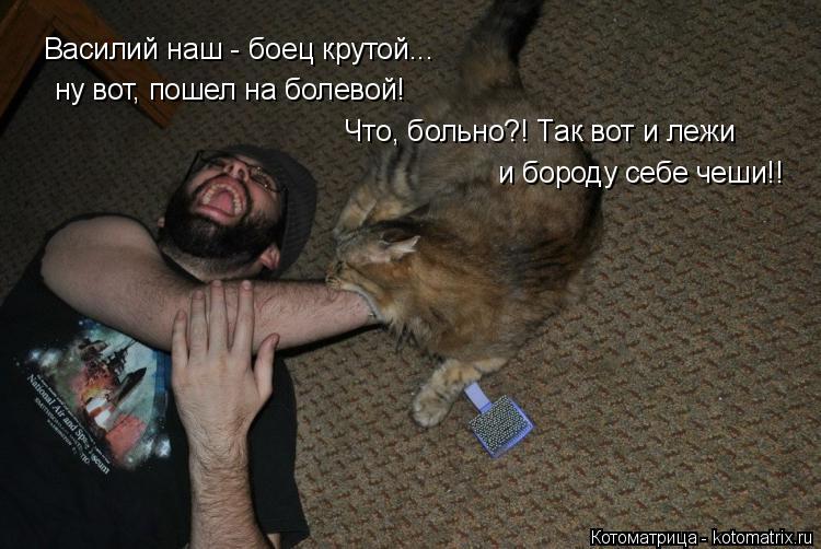 Котоматрица: Василий наш - боец крутой... ну вот, пошел на болевой! Что, больно?! Так вот и лежи и бороду себе чеши!!