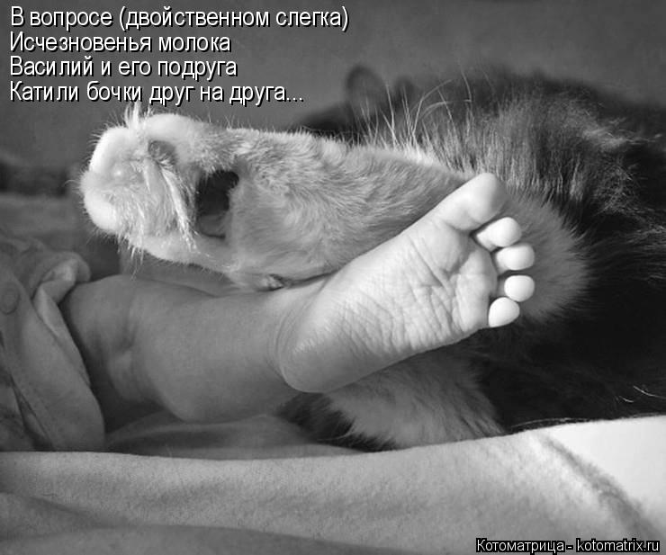 Котоматрица: В вопросе (двойственном слегка) Исчезновенья молока Василий и его подруга Катили бочки друг на друга...