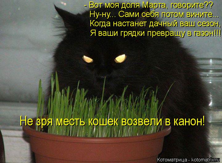 - Вот моя доля Марта, говорите?? Ну-ну... Сами себя потом вините... Когда настанет дачный ваш сезон, ... Котоматрица: - Вот моя доля Марта, говорите?? Ну-ну... Сами себя потом вините... Когда настанет дачный ваш сезон, Я ваши грядки превращу в газон!!! Не зря месть