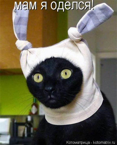 Котоматрица: мам я оделся!