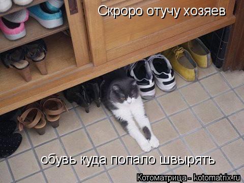 Котоматрица: Скроро отучу хозяев обувь куда попало швырять