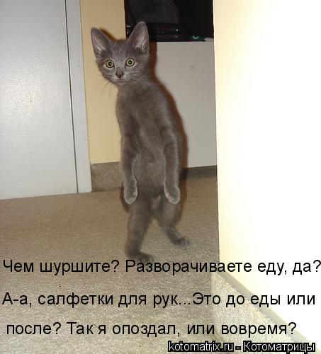 Чем шуршите? Разворачиваете еду, да? А-а, салфетки для рук...Это до еды или после? Так я опоздал, ил... Котоматрица: Чем шуршите? Разворачиваете еду, да? А-а, салфетки для рук...Это до еды или после? Так я опоздал, или вовремя?