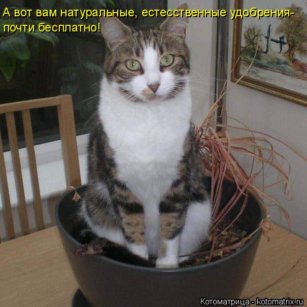 Котоматрица: А вот вам натуральные, естесственные удобрения-  почти бесплатно!