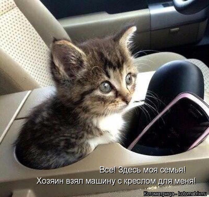 Котоматрица: Все! Здесь моя семья!  Хозяин взял машину с креслом для меня!