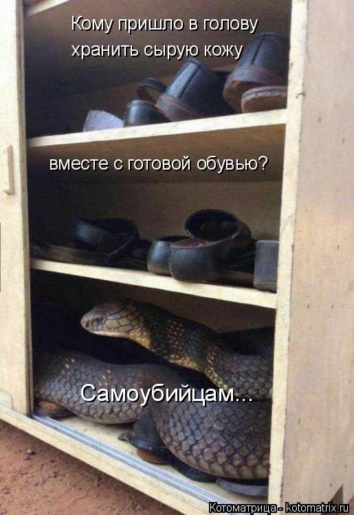 Котоматрица: Кому пришло в голову хранить сырую кожу вместе с готовой обувью? Самоубийцам...