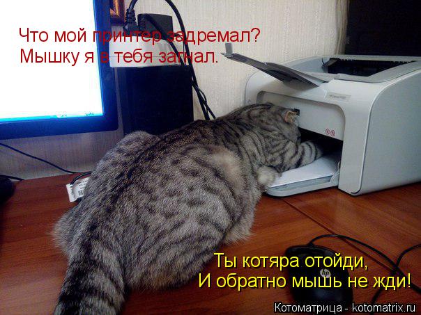 Котоматрица: Что мой принтер задремал? Мышку я в тебя загнал. И обратно мышь не жди! Ты котяра отойди,