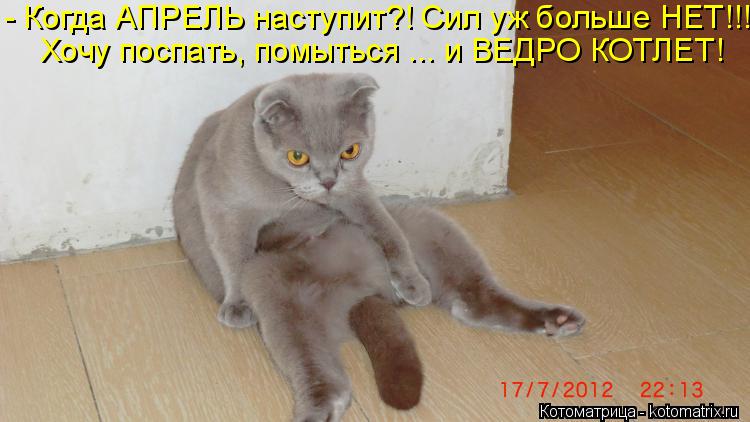 - Когда АПРЕЛЬ наступит?! Сил уж больше НЕТ!!! Хочу поспать, помыться ... и ВЕДРО КОТЛЕТ!... Котоматрица: - Когда АПРЕЛЬ наступит?! Сил уж больше НЕТ!!! Хочу поспать, помыться ... и ВЕДРО КОТЛЕТ!