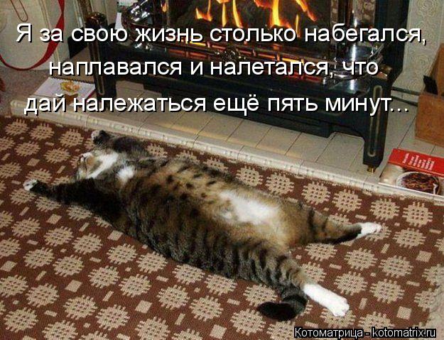 Котоматрица: Я за свою жизнь столько набегался, наплавался и налетался, что дай належаться ещё пять минут...