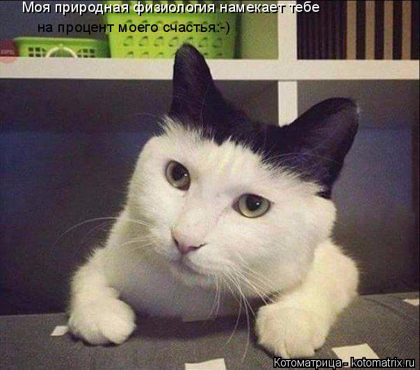 Котоматрица: Моя природная физиология намекает тебе  на процент моего счастья:-)