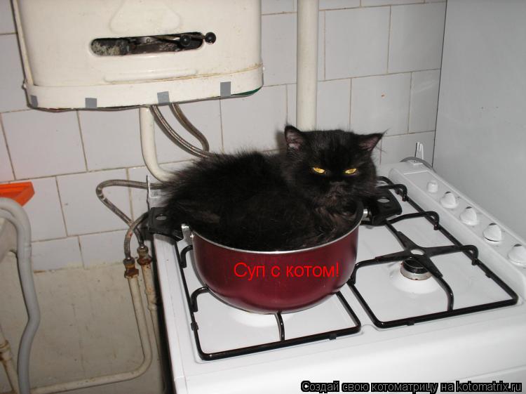 Котоматрица: Суп с котом!