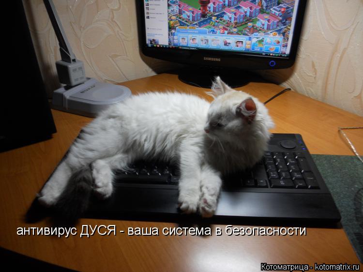 Котоматрица: антивирус ДУСЯ - ваша система в безопасности