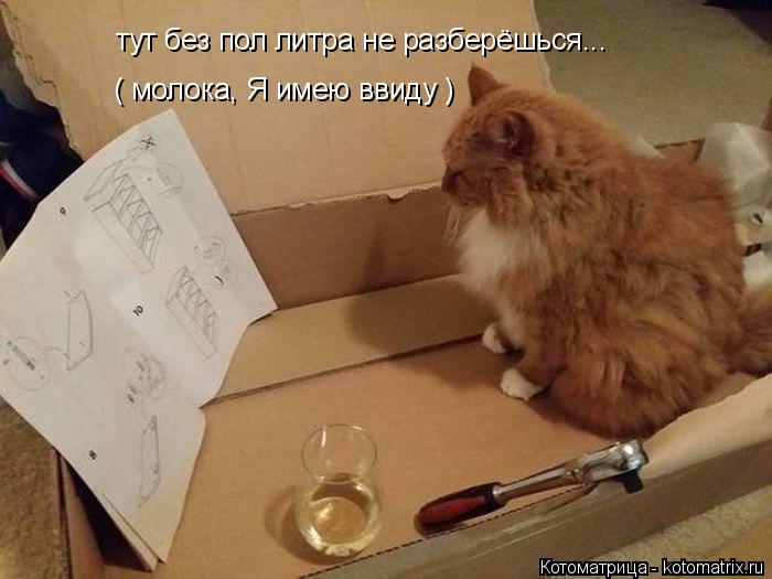 тут без пол литра не разберёшься... ( молока, Я имею ввиду )... Котоматрица: тут без пол литра не разберёшься... ( молока, Я имею ввиду )