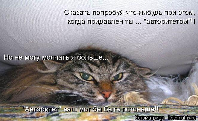 Котоматрица: Сказать попробуй что-нибудь при этом, когда придавлен ты ... "авторитетом"!! Но не могу молчать я больше... "Авторитет" ваш мог бы быть потоньше!!