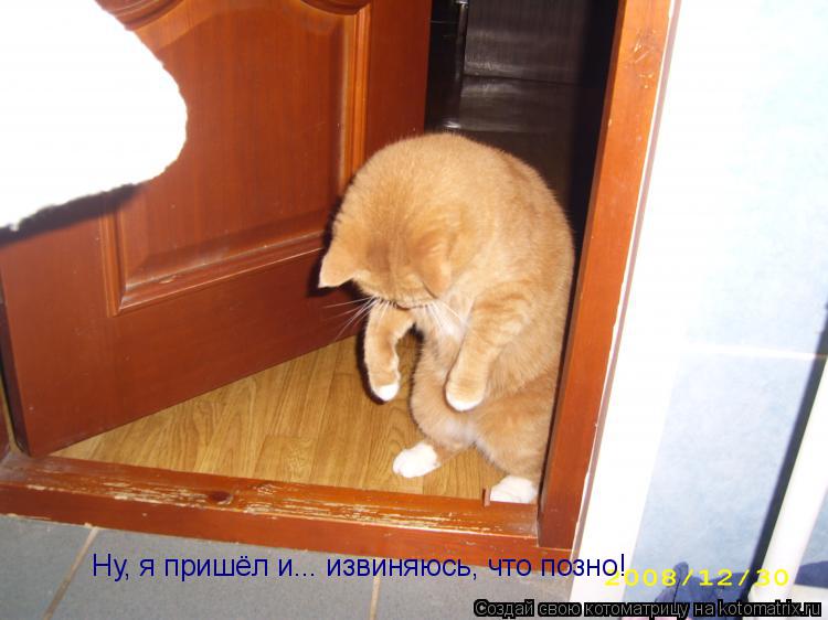 Котоматрица: Ну, я пришёл и... извиняюсь, что позно! Ну, я пришёл и... извиняюсь, что позно!