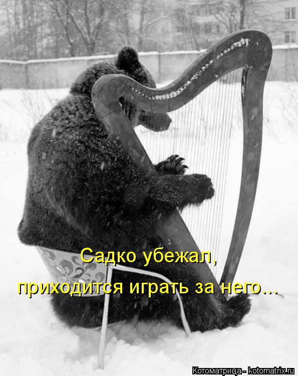 Котоматрица: Садко убежал, приходится играть за него...