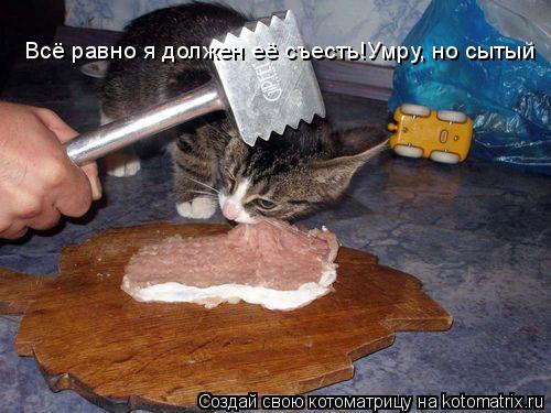 Котоматрица: Всё равно я должен её съесть!Умру, но сытый