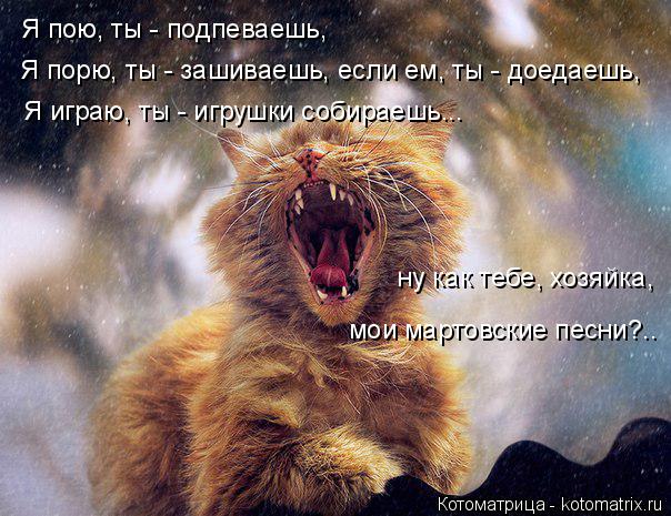 Котоматрица: Я пою, ты - подпеваешь, Я порю, ты - зашиваешь, если ем, ты - доедаешь, Я играю, ты - игрушки собираешь... ну как тебе, хозяйка, мои мартовские песни