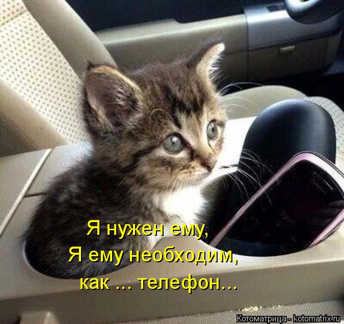 Котоматрица: Я нужен ему, Я ему необходим, как ... телефон...