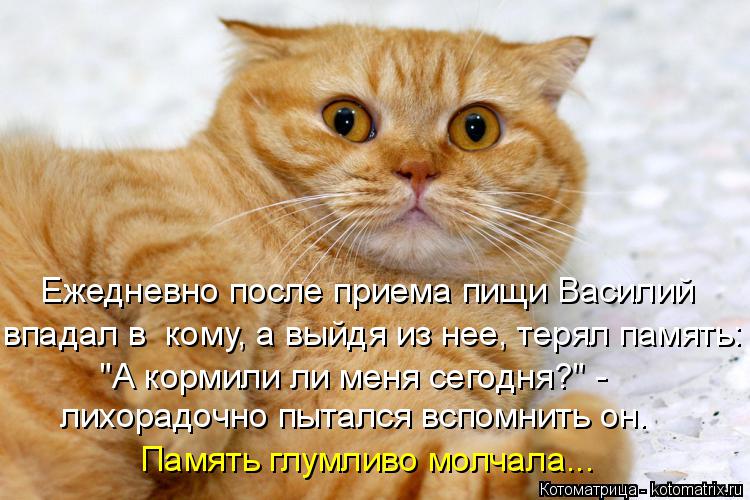 Котоматрица: Ежедневно после приема пищи Василий  впадал в  кому, а выйдя из нее, терял память: "А кормили ли меня сегодня?" - лихорадочно пытался вспомнить