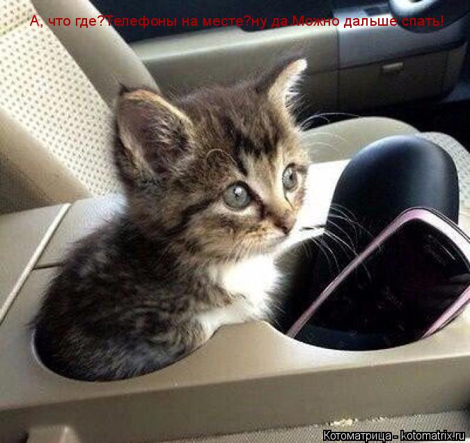 Котоматрица: А, что где?Телефоны на месте?ну да.Можно дальше спать!