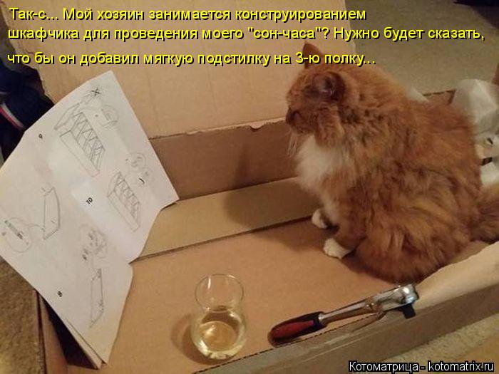 Котоматрица: Так-с... Мой хозяин занимается конструированием шкафчика для проведения моего "сон-часа"? Нужно будет сказать,  что бы он добавил мягкую подс