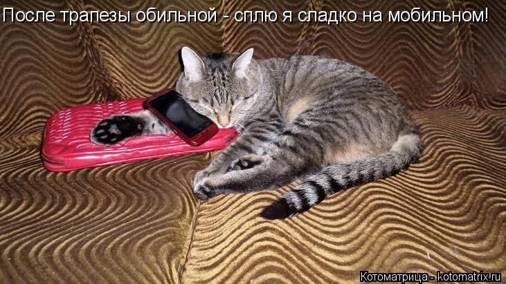 Котоматрица: После трапезы обильной - сплю я сладко на мобильном!