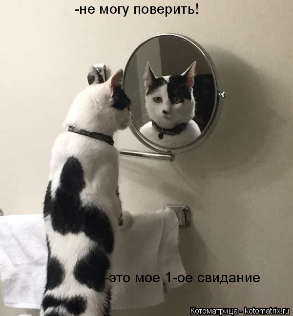 Котоматрица: -не могу поверить! -это мое 1-ое свидание