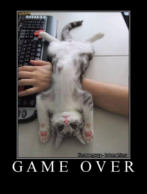 Котоматрица: GAME OVER 