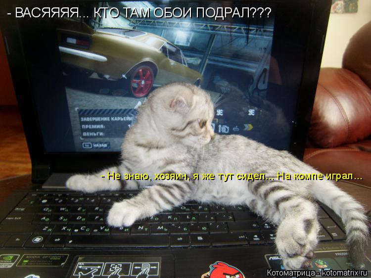 Котоматрица: - ВАСЯЯЯЯ... КТО ТАМ ОБОИ ПОДРАЛ??? - Не знаю, хозяин, я же тут сидел... На компе играл...