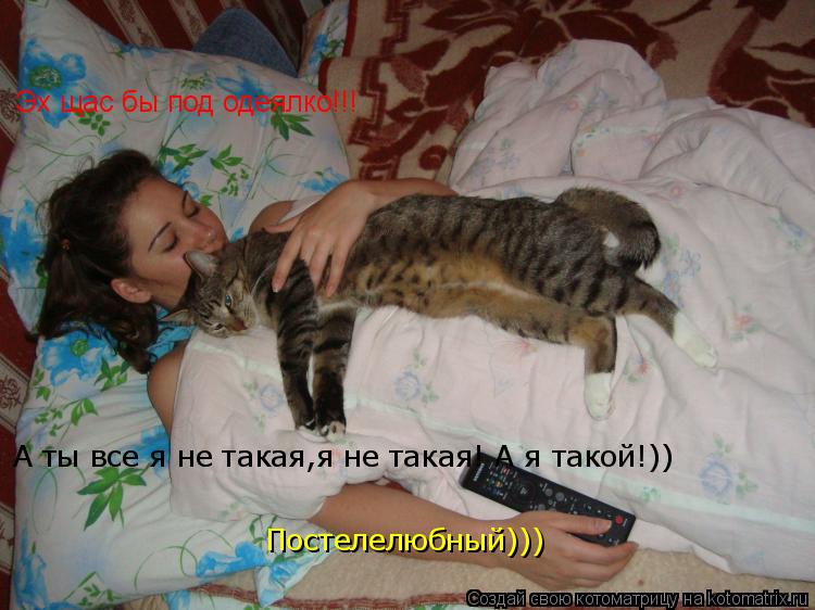 Котоматрица: Эх щас бы под одеялко!!! А ты все я не такая,я не такая! А я такой!)) Постелелюбный)))