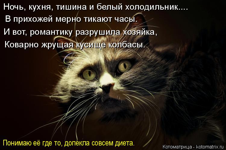 Котоматрица: В прихожей мерно тикают часы. И вот, романтику разрушила хозяйка, Коварно жрущая кусище колбасы. Понимаю её где то, допекла совсем диета.  Но